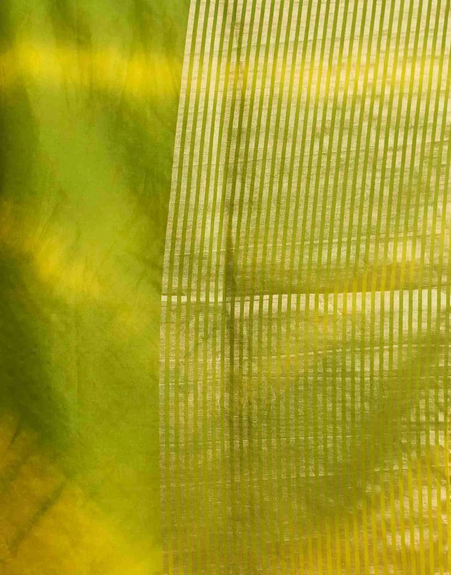 Light Green Organza Printed Woven Saree