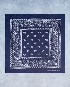 Navy Blue Paisley - Buy now.